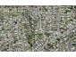 13 Springside Place, New Lynn, Auckland - Carousel 1