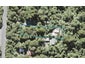 695 Scenic Drive, Henderson Valley, Auckland - Carousel 1