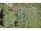 42 Yozin Road, Swanson, Auckland - Carousel 1