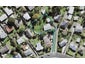 34 Fairclough Road, Beach Haven, Auckland - Carousel 1
