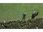 42 Te Aniwaniwa Terrace, Albany, Auckland - Carousel 1