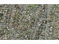 11D Rene Place, Sunnyhills, Auckland - Carousel 1