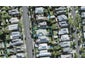 30 Wanganui Avenue, Ponsonby, Auckland - Carousel 1