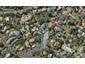 10 Apihai Street, Orakei, Auckland - Carousel 1
