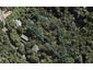 24 Hobson Terrace, Onetangi, Waiheke Island - Carousel 1
