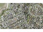 2 Takutai Avenue, Bucklands Beach, Auckland - Carousel 1
