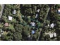 63 Hill Road, Palm Beach, Waiheke Island - Carousel 1
