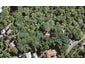 39 Tane Road, Laingholm, Auckland - Carousel 1