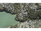 12A Poaka Place, Beach Haven, Auckland - Carousel 1