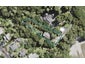 31 The Parade, Titirangi, Auckland - Carousel 1