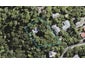 79 Tanekaha Road, Titirangi, Auckland - Carousel 1