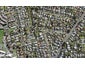 20A Plane Street, Avondale, Auckland - Carousel 1
