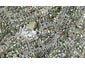8B Agathis Avenue, Mairangi Bay, Auckland - Carousel 1