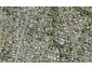 10B Claridge Street, Glen Eden, Auckland - Carousel 1