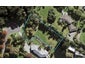 52 Chester Avenue, Greenhithe, Auckland - Carousel 1