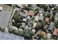 2/36 Aroha Avenue, Sandringham, Auckland - Carousel 1