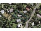 10 Whakarite Road, Ostend, Waiheke Island - Carousel 1