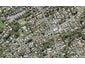 139 Seabrook Avenue, New Lynn, Auckland - Carousel 1