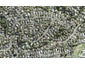 9A Freya Place, Torbay, Auckland - Carousel 1