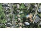 12 Hapua Street, Remuera, Auckland - Carousel 1