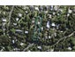 23 Goodwin Avenue, Oneroa, Waiheke Island - Carousel 1