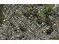 50 Hillcrest Avenue, Hillcrest, Auckland - Carousel 1