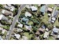 59 Ardern Avenue, Stanmore Bay, Whangaparaoa - Carousel 1