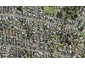 78 Bollard Avenue, New Windsor, Auckland - Carousel 1