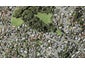 9 Etherege Place, Howick, Auckland - Carousel 1