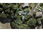 31 Bagley Street, Hillsborough, Auckland - Carousel 1