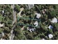 29 Palm Road, Palm Beach, Waiheke Island - Carousel 1