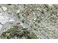 2A Homestead Road, Manly, Whangaparaoa - Carousel 1