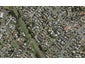 7B Woolfield Road, Papatoetoe, Auckland - Carousel 1