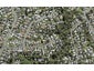 36A Fordham Street, Beach Haven, Auckland - Carousel 1