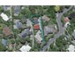 32 Heke Street, Ngaio, Wellington - Carousel 1