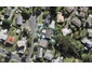 1/2 Braund Place, Glenfield, Auckland - Carousel 1