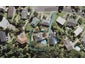 24 Gretel Place, Hillcrest, Auckland - Carousel 1