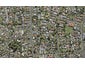 10 Ara Rewarewa, Papatoetoe, Auckland - Carousel 1