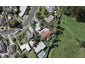 47A Rutherford Terrace, Meadowbank, Auckland - Carousel 1