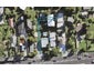 3/50 Tiverton Road, Avondale, Auckland - Carousel 1