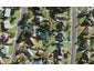 4 Nekuneku Lane, Mount Roskill, Auckland - Carousel 1