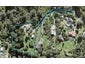 12 Clayden Drive, Gulf Harbour, Whangaparaoa - Carousel 1