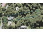 104 Mountain Road, Henderson Valley, Auckland - Carousel 1