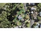 23 Commodore Drive, Lynfield, Auckland - Carousel 1