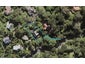 21 Trelawny Place, Hillcrest, Auckland - Carousel 1