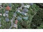 47 Mortimer Terrace, Brooklyn, Wellington - Carousel 1