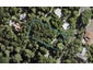 375 Titirangi Road, Titirangi, Auckland - Carousel 1