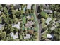46 Daffodil Street, Titirangi, Auckland - Carousel 1
