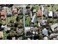 41A Shoreham Street, Avondale, Auckland - Carousel 1
