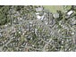 48D Sunrise Avenue, Mairangi Bay, Auckland - Carousel 1